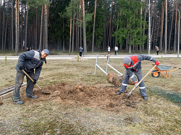 proveli-vesennij-subbotnik-2026_3