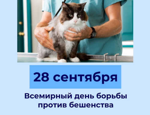 28 сентября – Всемирный день борьбы с бешенством. Вместе мы сильнее!